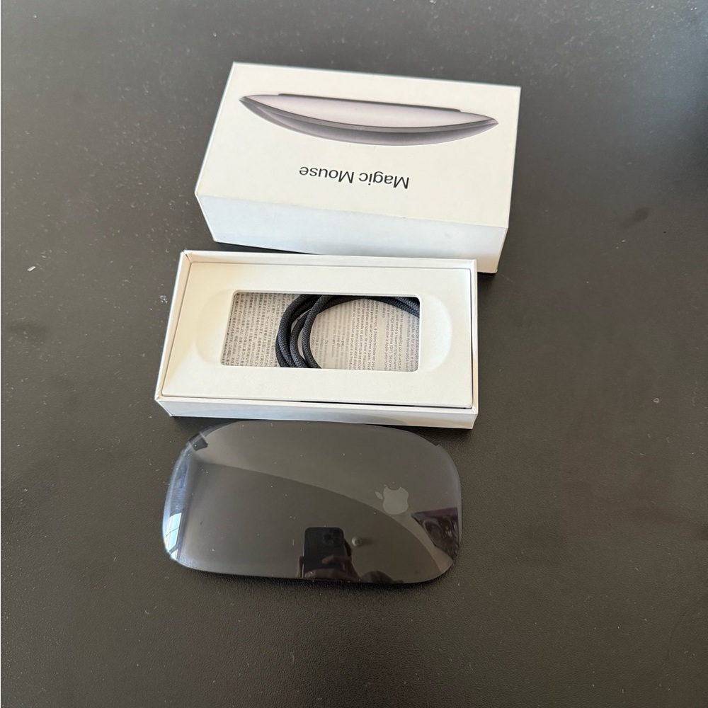 Black Apple Magic Mouse (USB-C)
